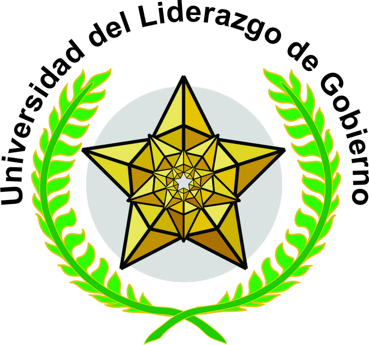 UNIVERSIDAD DEL LIDERAZGO DE GOBIERNO – ULG